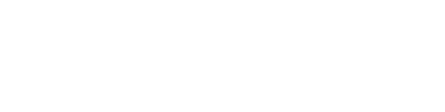 Topee Solutions Logo